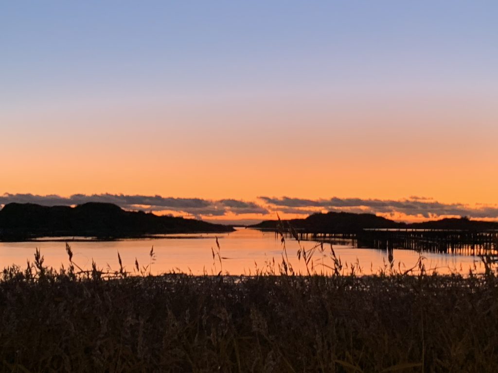 utsikt från Skintebo Gille i solnedgång